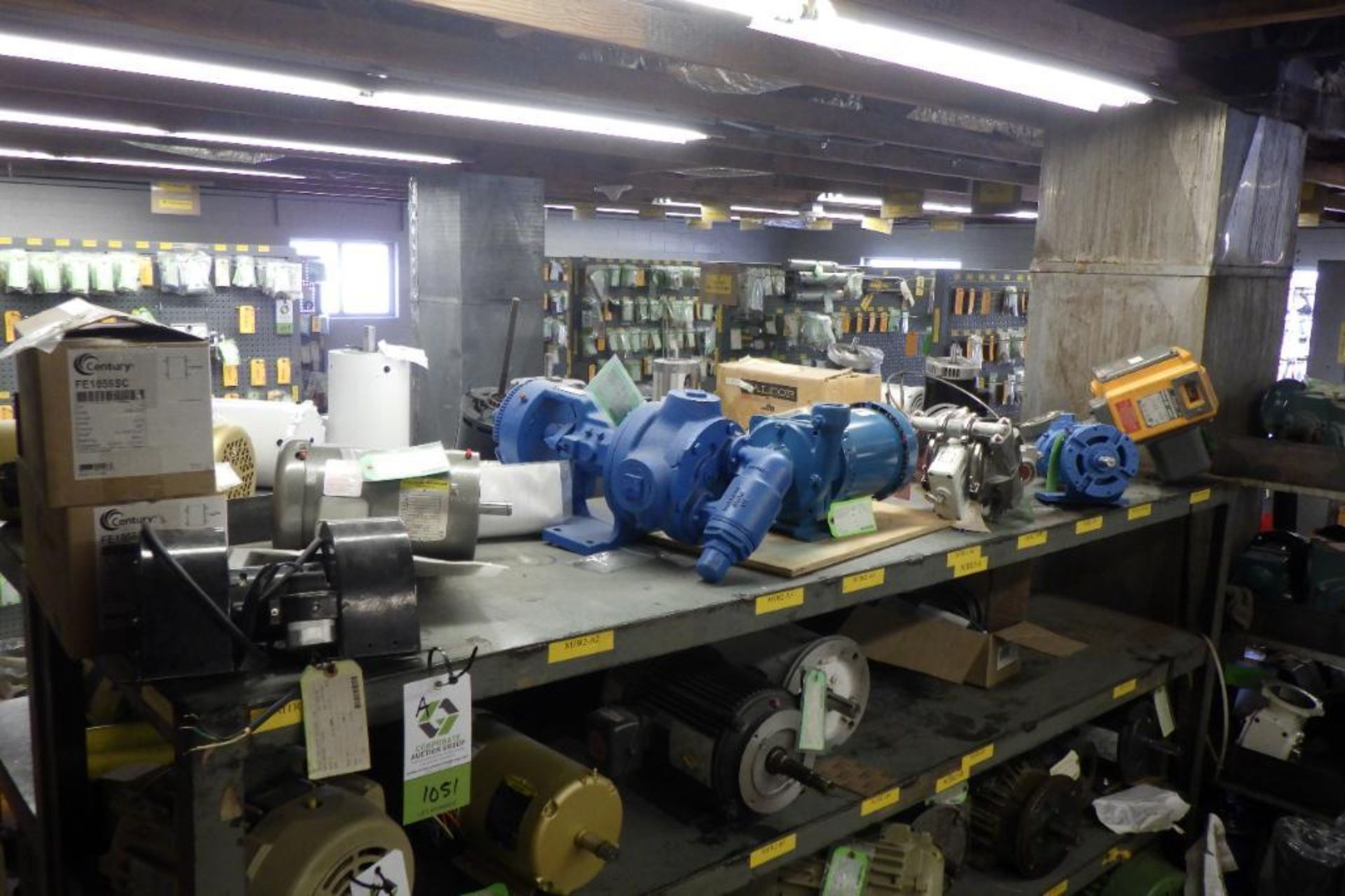 Lot of assorted pumps and motors