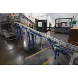 Spantech incline conveyor