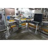 Safeline metal detector with conveyor