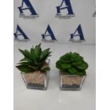 Briful Faux Succulents in Pots Set of 2 Succulents Artificial Plants Indoor Fake Plant