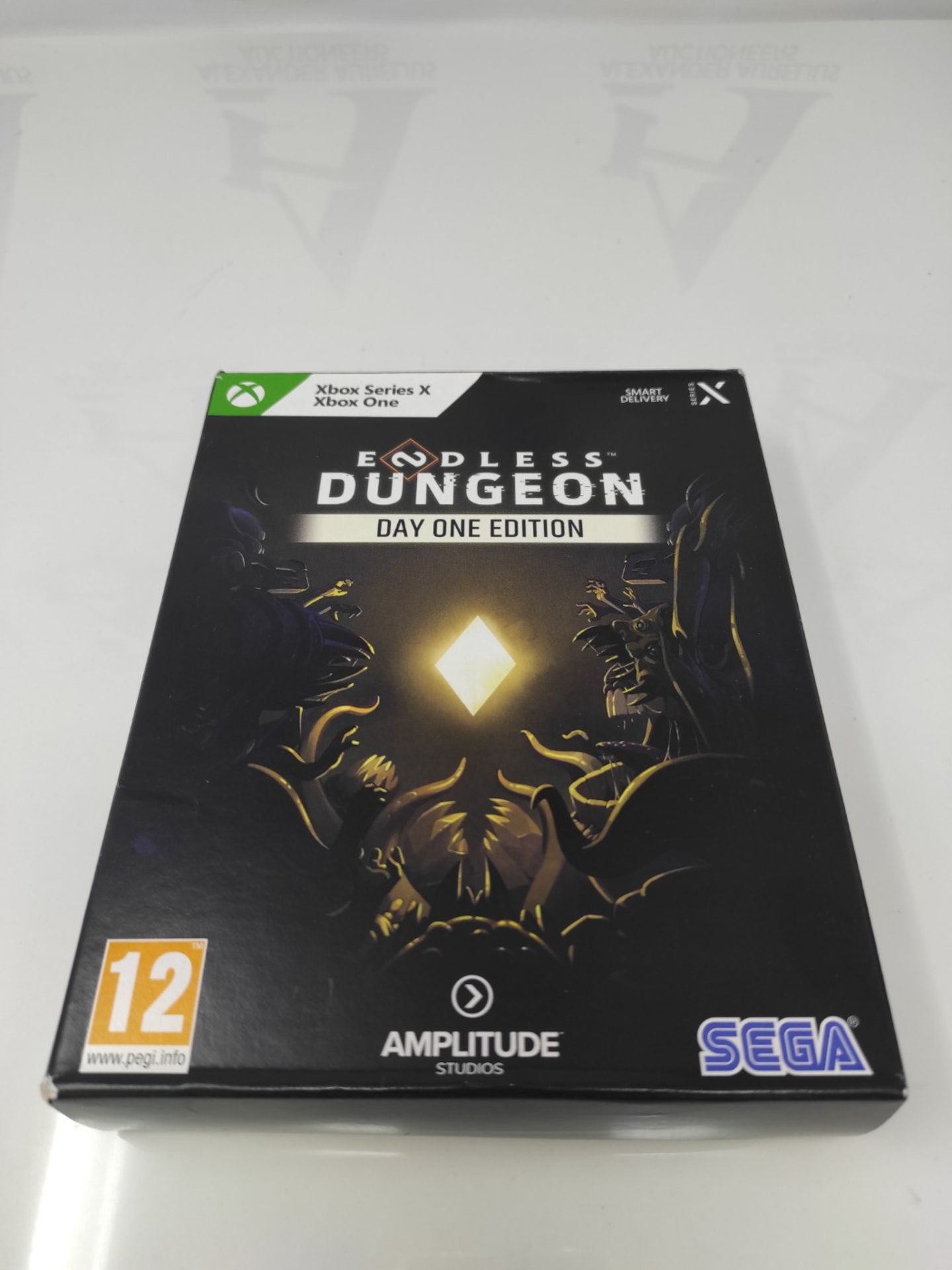 ENDLESS Dungeon - Day One edition ( Xbox Series X & One ) - Image 2 of 3