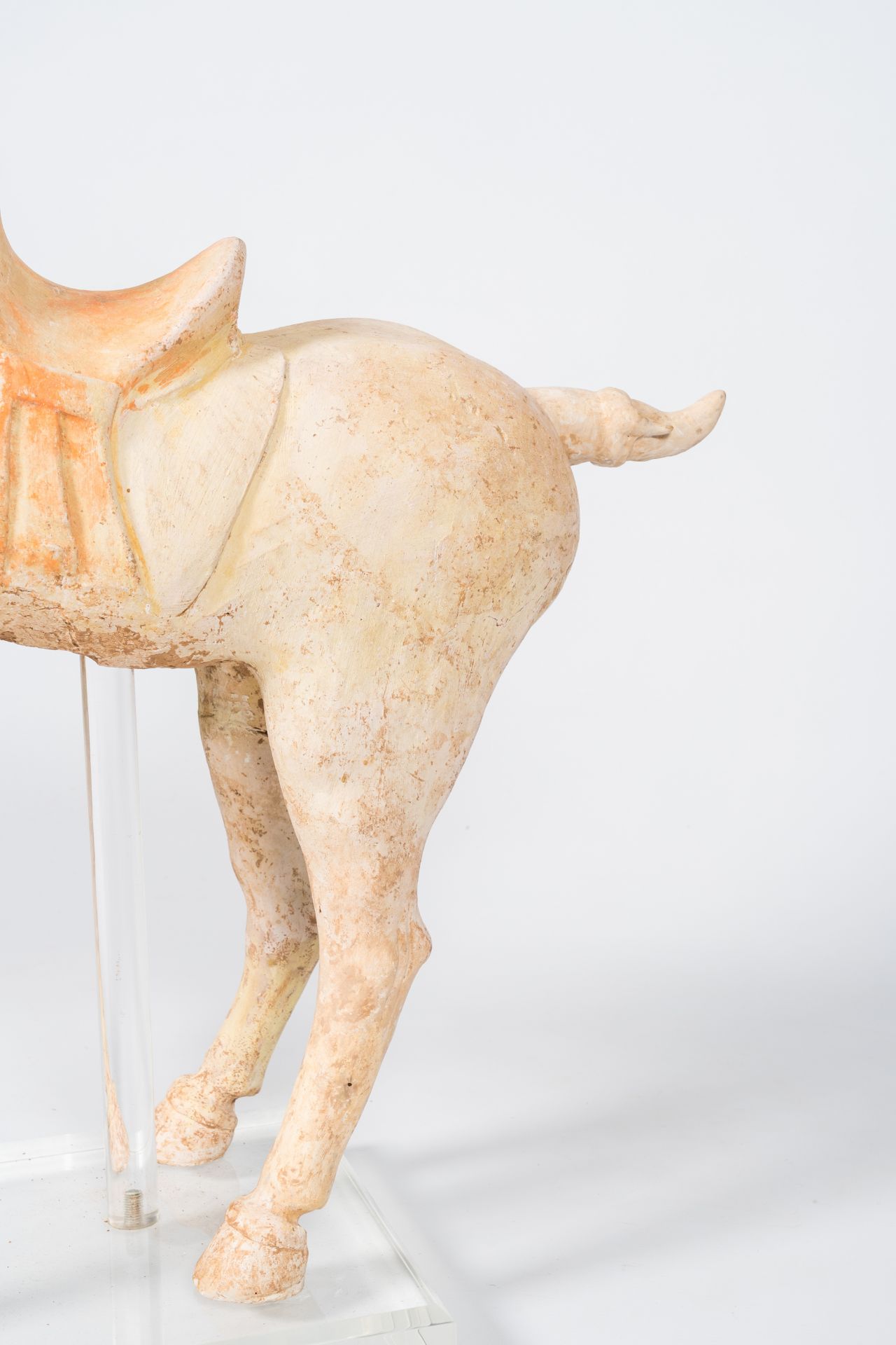 A Chinese polychrome painted pottery model of a horse, Tang - Image 8 of 9