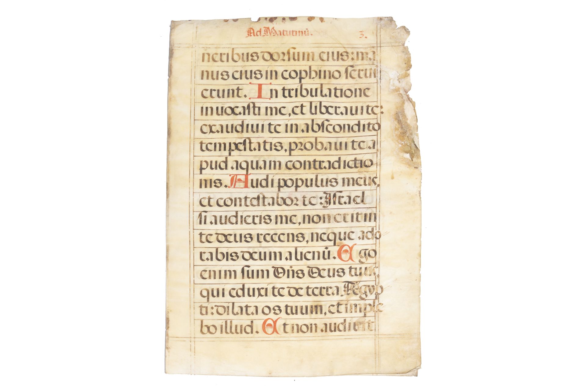 Three double-sided parchment music manuscripts, 16th C. - Bild 3 aus 4