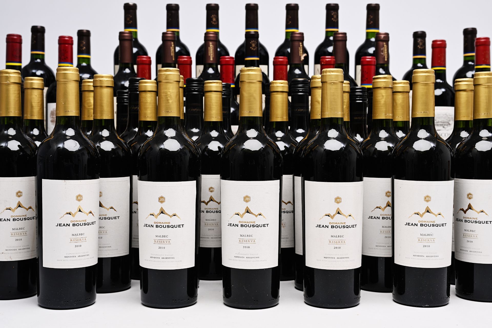 A varied collection of Argentinian, Australian, Chilean and South African red wines, 2006-2014 - Image 2 of 3