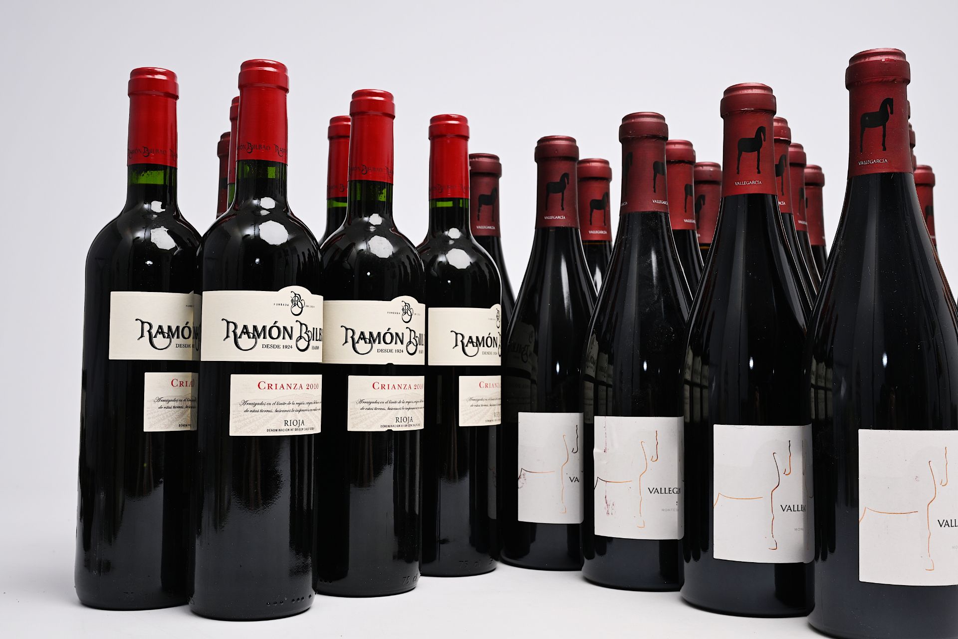 Six bottles of Crianza Rioja Ramon Bilbao, eighteen bottles of Vallegarcia Syrah and eight bottles V - Bild 5 aus 8
