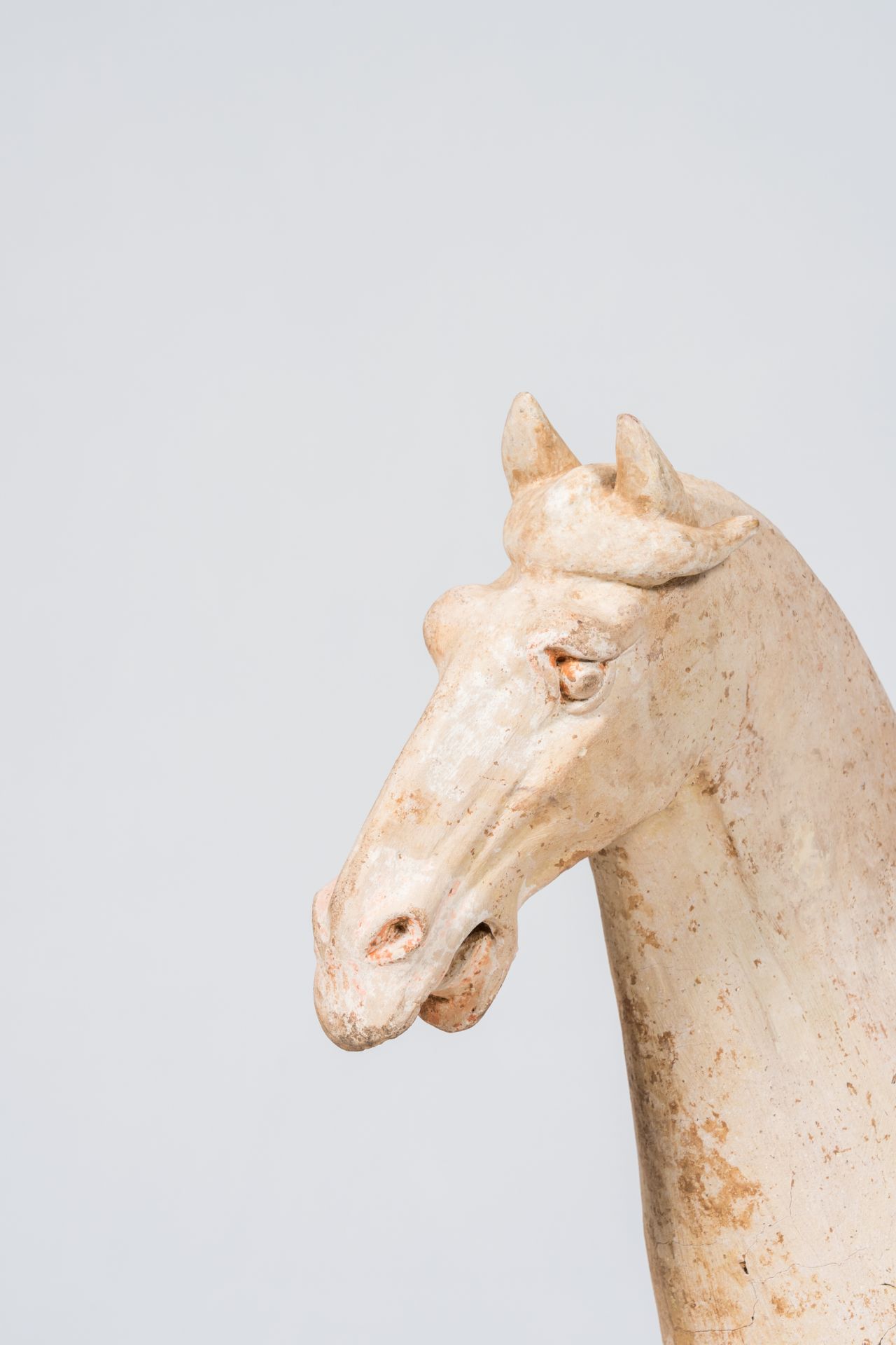 A Chinese polychrome painted pottery model of a horse, Tang - Image 7 of 9