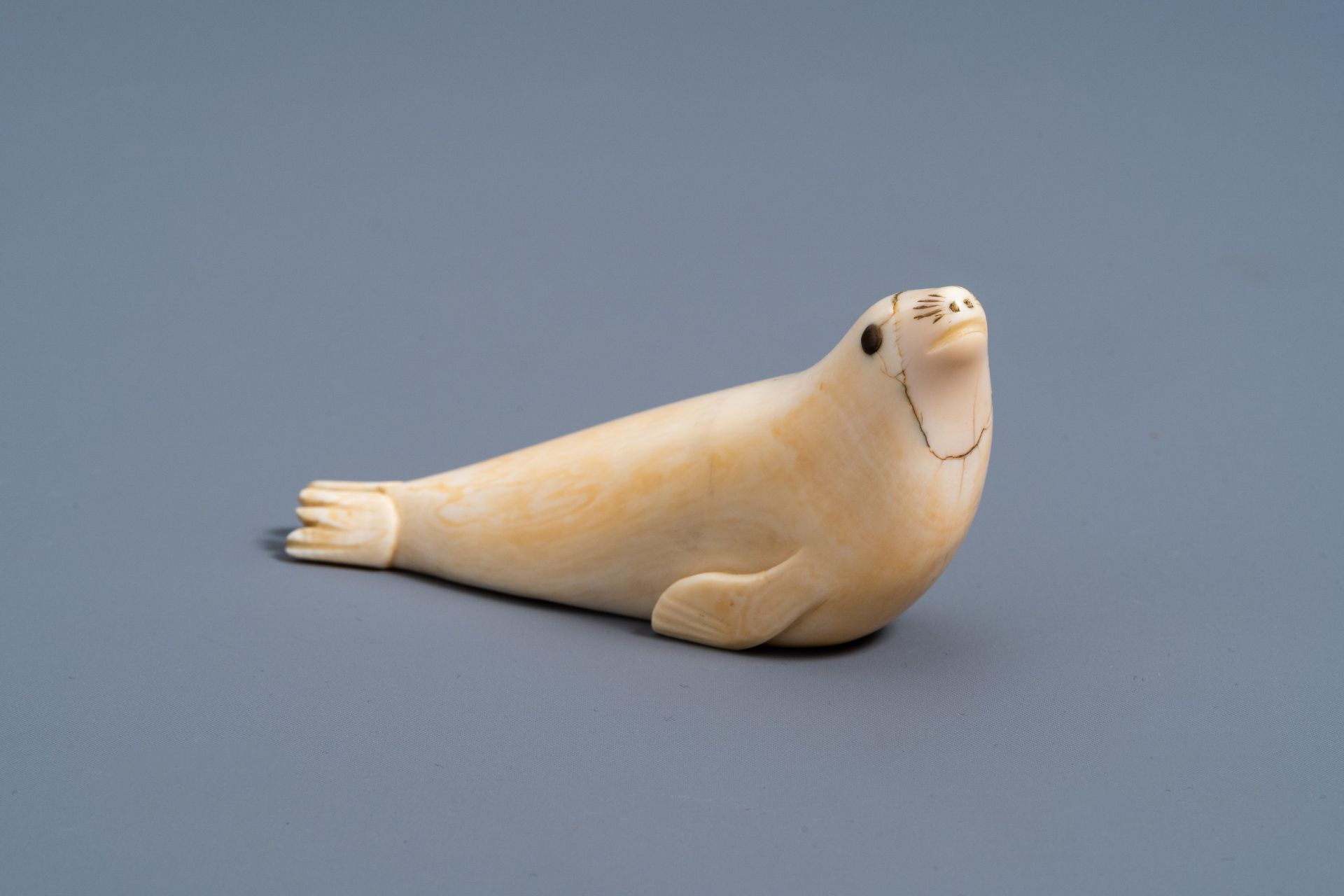 An Inuit carved whale ivory figure of a seal, Canada or Alaska, 19th C.