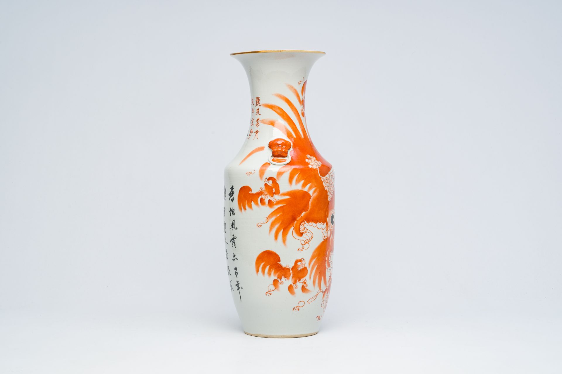 A Chinese iron-red 'Buddhist lions' vase, 19th C. - Image 8 of 12