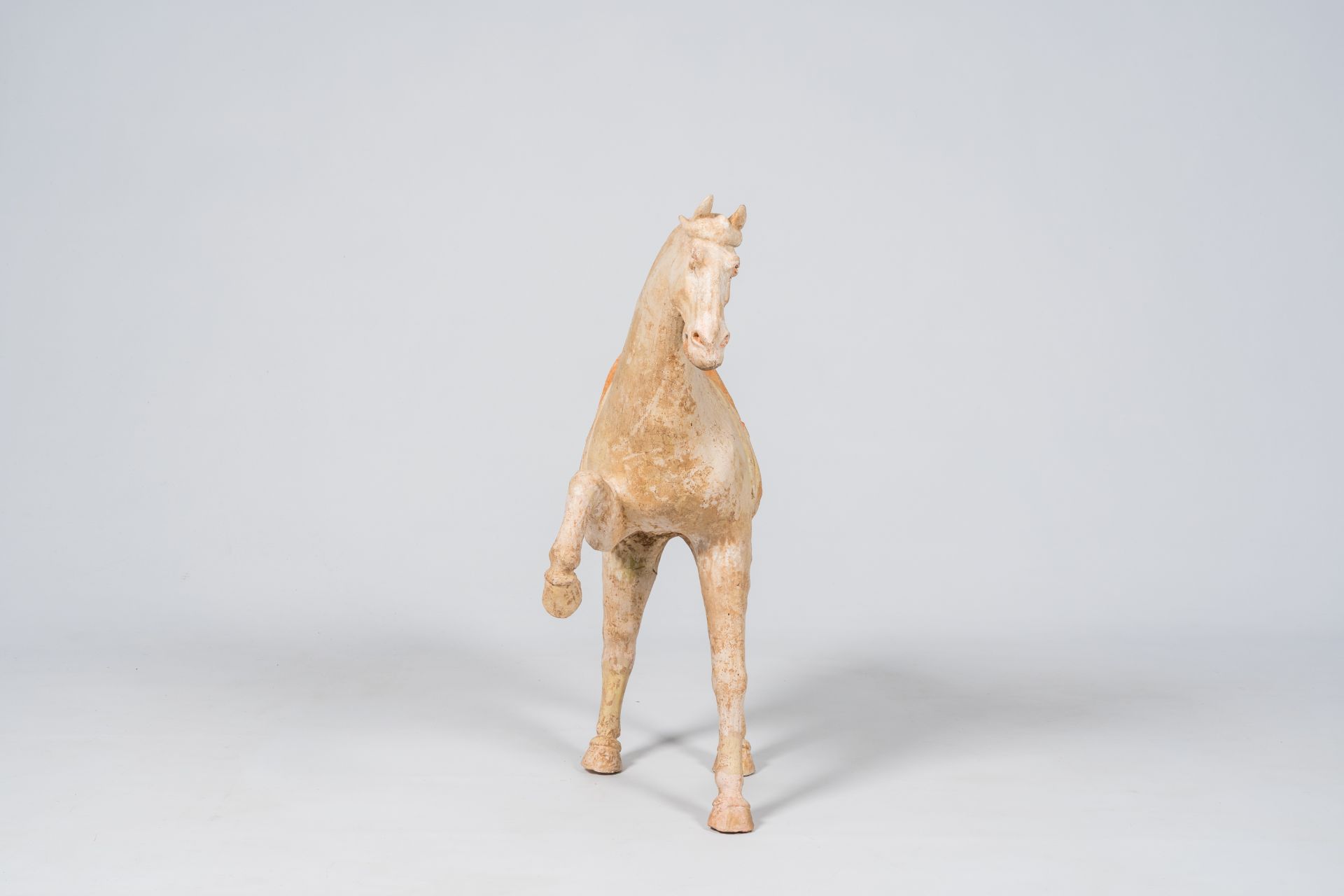 A Chinese polychrome painted pottery model of a horse, Tang - Image 4 of 9