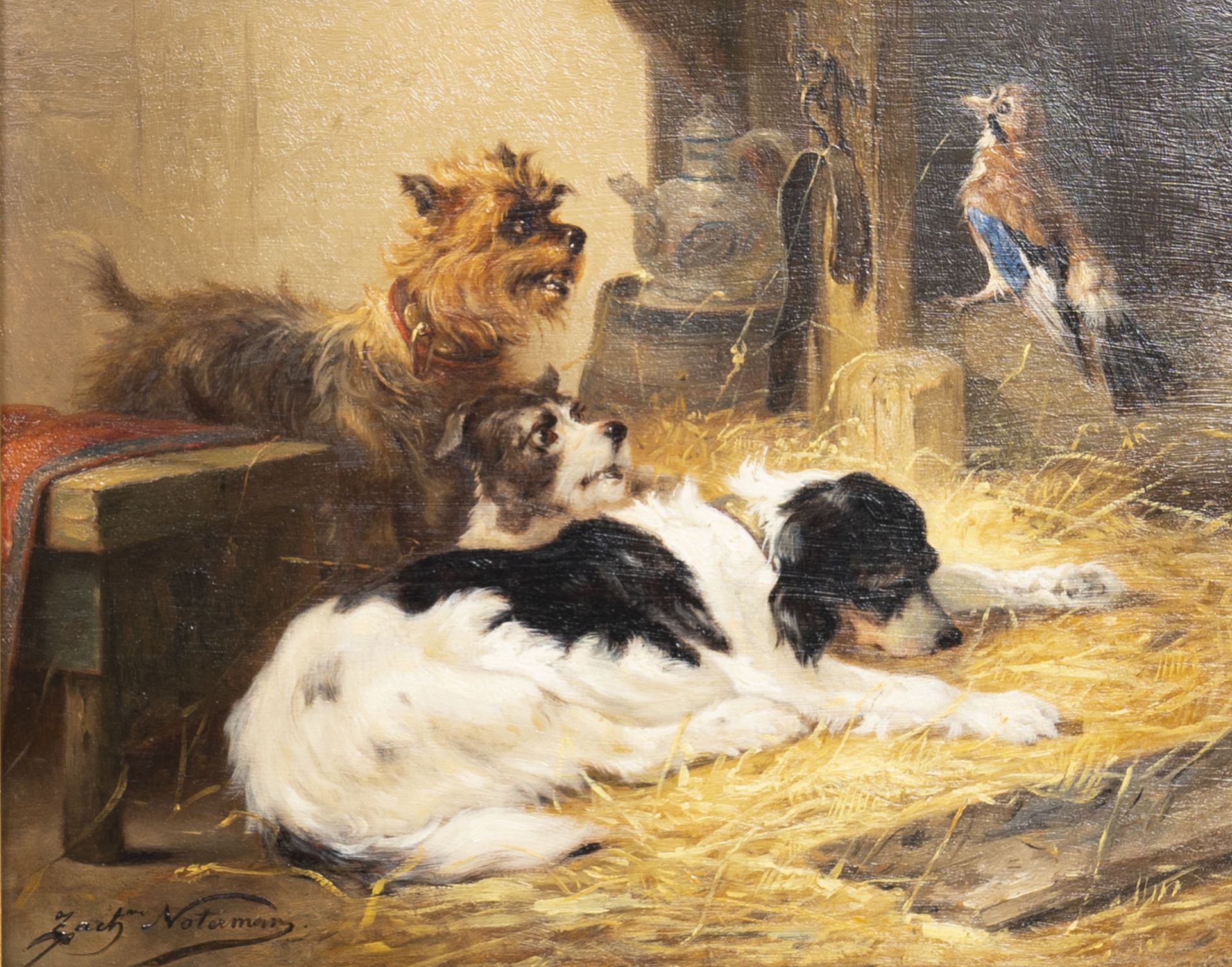 Zacharie Noterman (1820-1890): Three dogs and a jay, oil on panel
