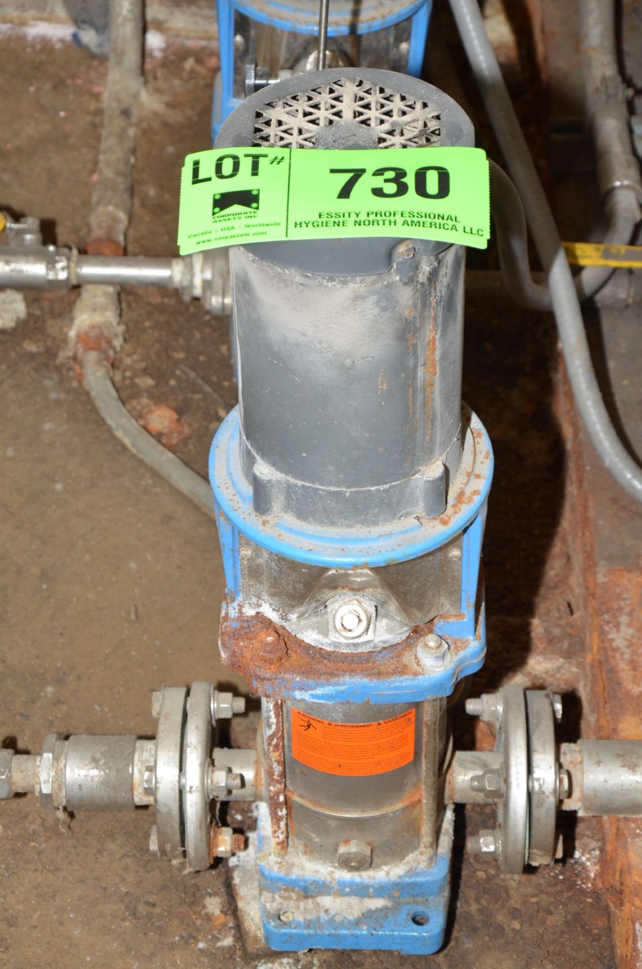 BALDOR MULTISTAGE VERTICAL CENTRIFUGAL PUMP, S/N N/A (CI) [RIGGING FEE FOR LOT #730 - $100 USD