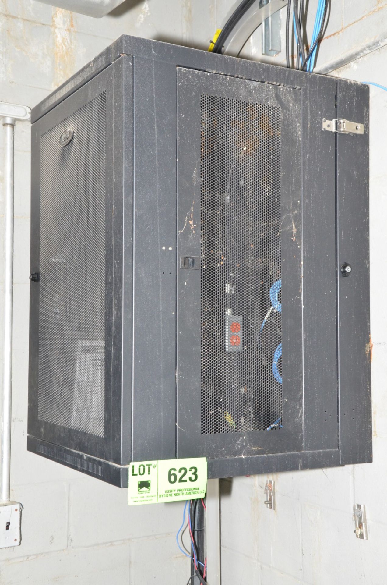 TRIPP LITE SERVER CABINET (CI) [RIGGING FEE FOR LOT #623 - $100 USD PLUS APPLICABLE TAXES]