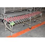 FLEX ROLLER CONVEYOR