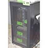 TRIPP-LITE SERVER CABINET (CI) [RIGGING FEE FOR LOT #609 - $25 USD PLUS APPLICABLE TAXES]