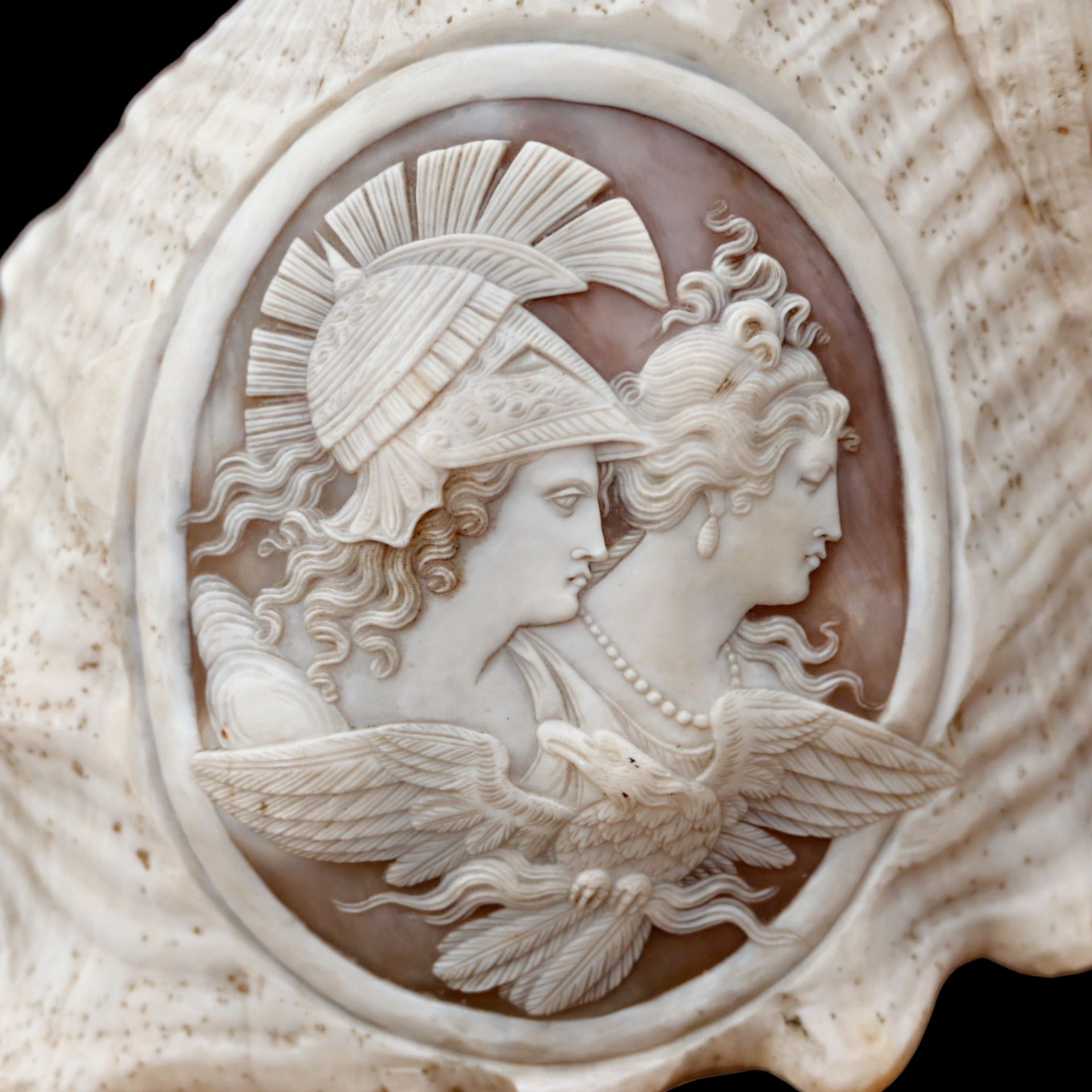 A RELIEF CARVED CAMEO CONCH SHELLA EARLY 19TH CENTURY - Bild 2 aus 11
