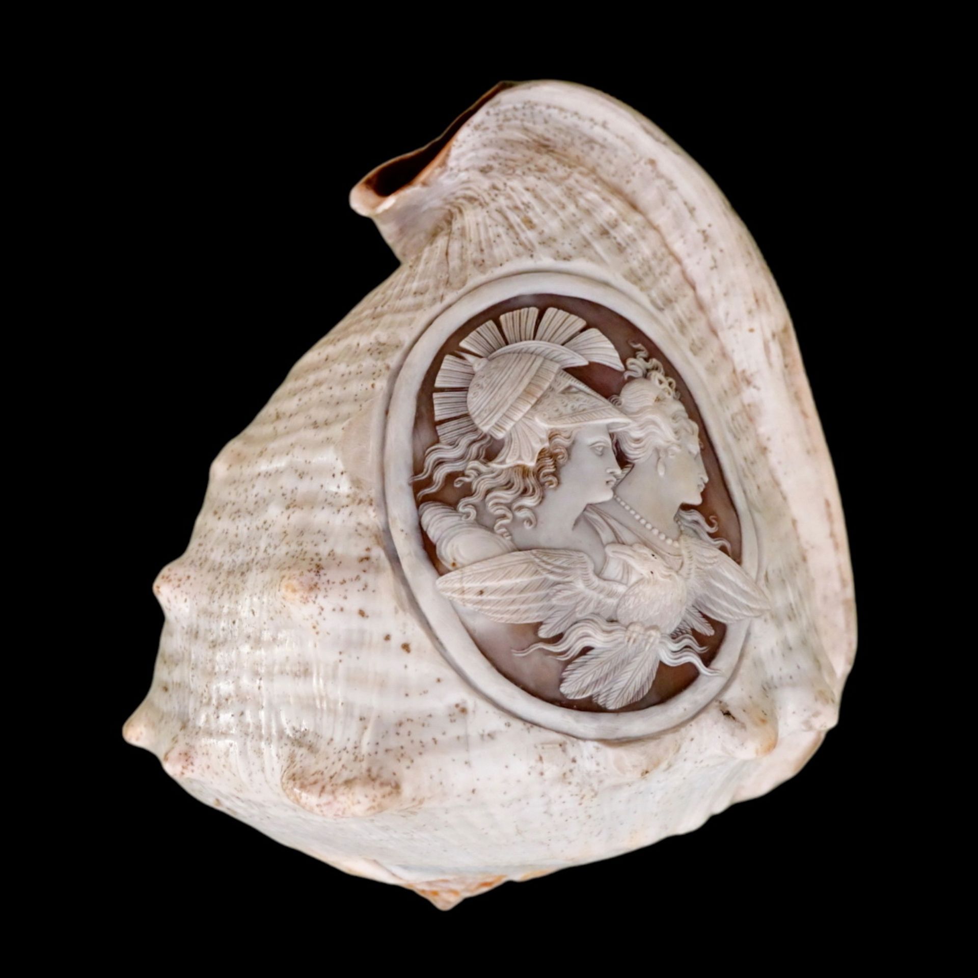 A RELIEF CARVED CAMEO CONCH SHELLA EARLY 19TH CENTURY