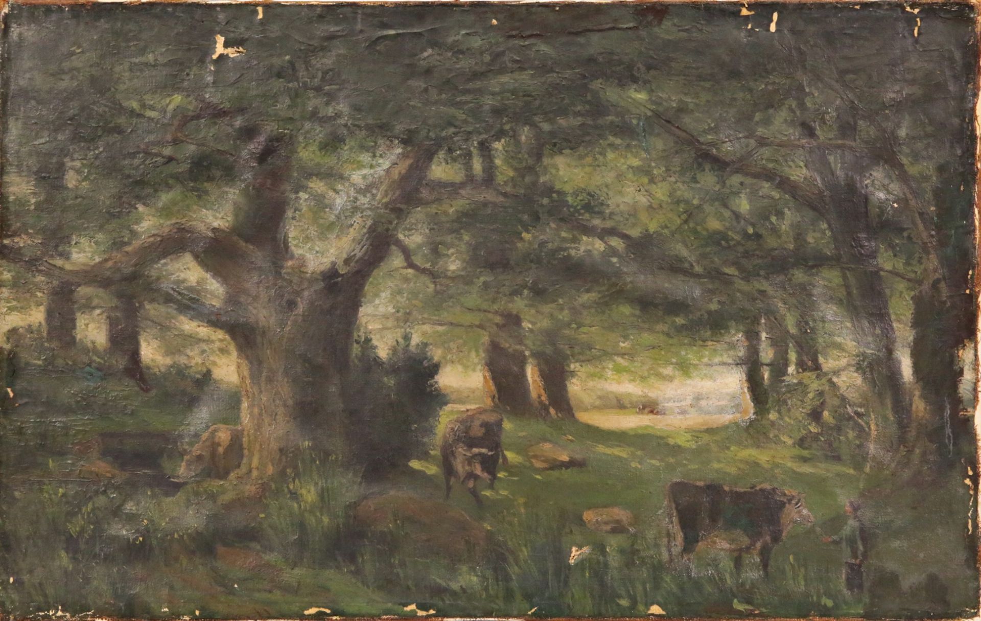 "Cows in the forest", oil on canvas mounted on wood, unsigned, Oil painting, early 20th century. - Image 2 of 4