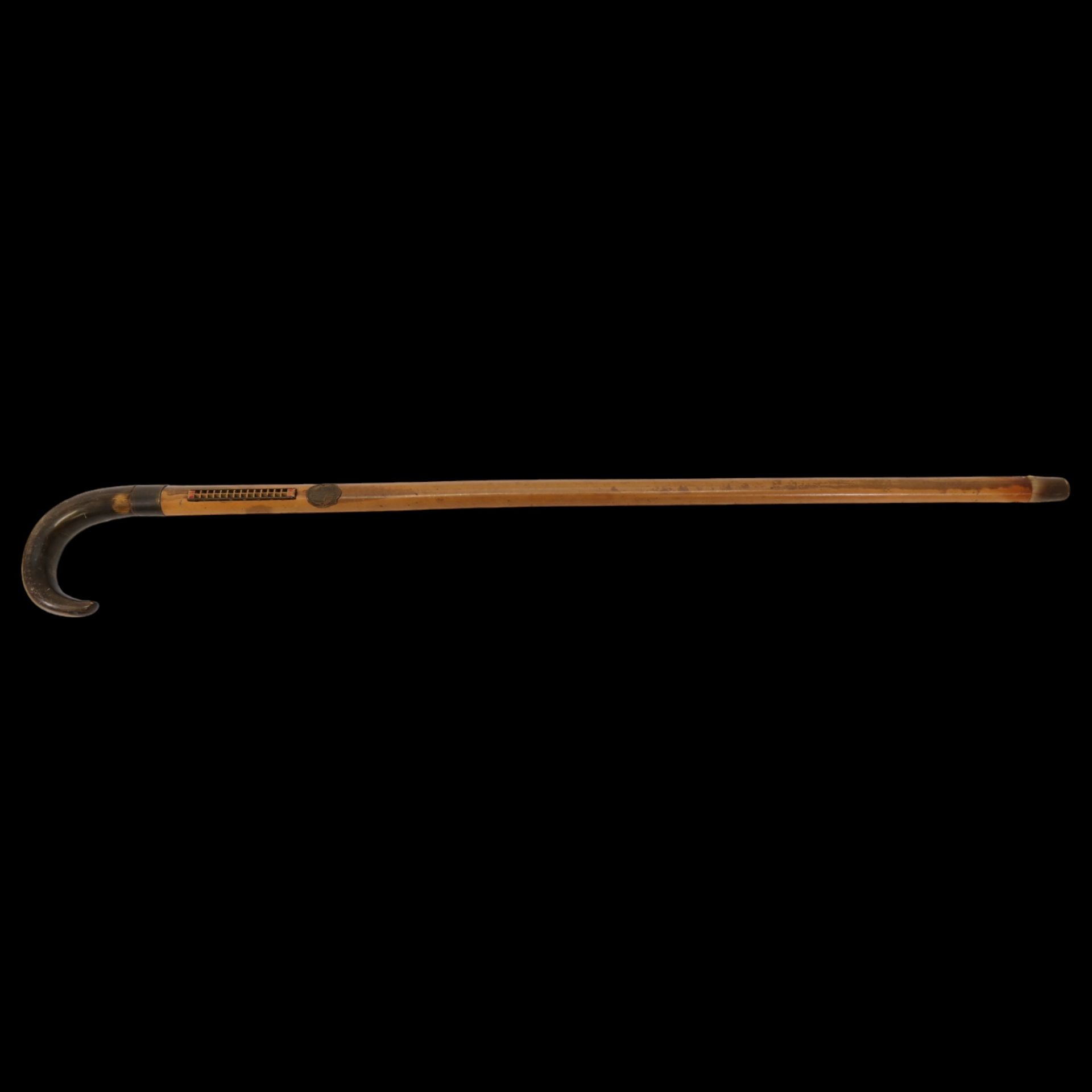 A rare Walking Stick Cane, Harmonica, Czech Republic, early 20th century. - Bild 2 aus 6