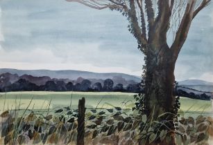 Robert Tavener (1920-2004) Watercolour "Hedgerow Tree near Winchcombe", signed lower right, framed