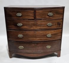 Victorian mahogany bowfronted chest of two short over three long drawers, with brass escutcheons and