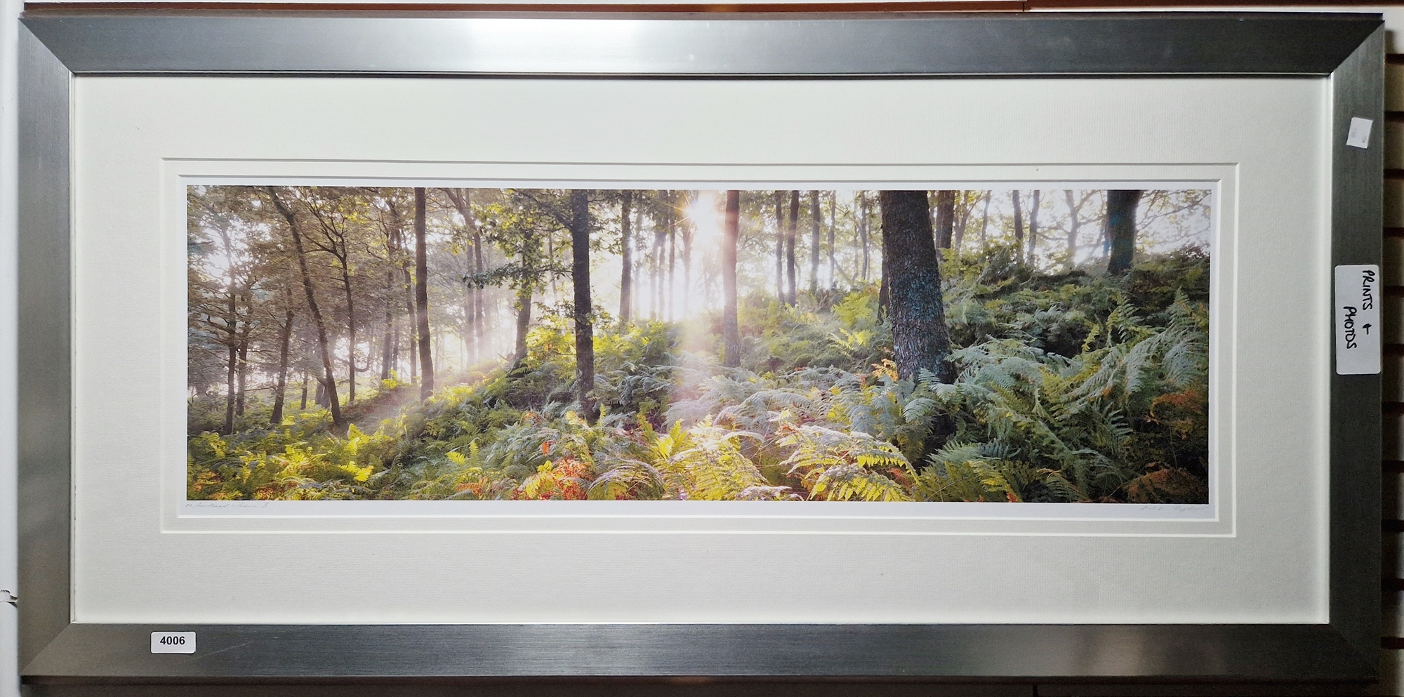 Mike Shepherd Photographic print 'Woodland Vision II', Artist's Proof, signed and titled in - Image 2 of 4