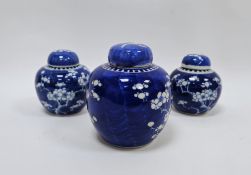 Assembled garniture of three Chinese porcelain blue and white ginger jars and covers, 19th