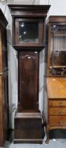 Stained oak longcase clock case only, plain hood with square glazed door, 210cm  Condition Report