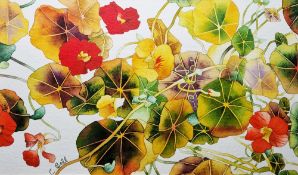 Catherine Bell (20th century) Watercolour "Nasturtiums", signed lower left, framed and glazed, image