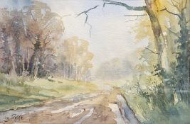 Liz Relfe (S.W.A., S.F.P, b. 1943) Watercolour "Autumn Walk, Yately Common", signed lower left,