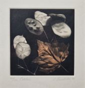 20th century school Etching & aquatint "October", study of some leaves, indistinctly signed and