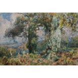 Frederick Mercer (1850-1939) Watercolour "Early Autumn", signed lower left, framed and glazed, image