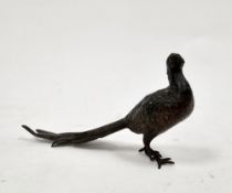 Austrian cold painted bronze model of a pheasant by Franz Bergman, amphora mark to base, 16cm long