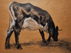 Carole Conde (b.1940) Charcoal and white pastel on brown paper "Amber (eating)", study of a cow,