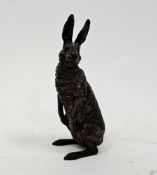 Austrian cold painted bronze model of a hare by Franz Bergman, the hare seated on its haunches,
