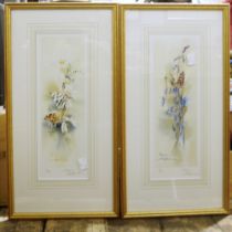 Selection of prints by Marianne Harbinson featuring flowers and insects (5)