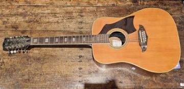 Eko Rio Bravo 12, 12-string acoustic guitar in soft case