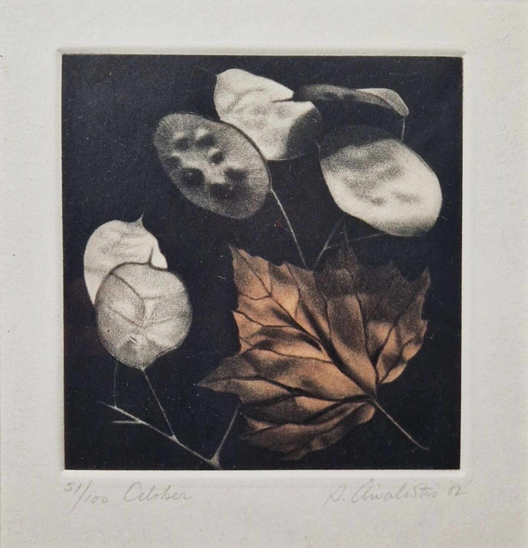 20th century school Etching & aquatint "October", study of some leaves, indistinctly signed and - Image 7 of 12