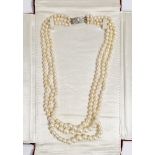 Triple string of graduated cultured pearls with white 9ct gold and pearl clasp, in Falconer's Hong