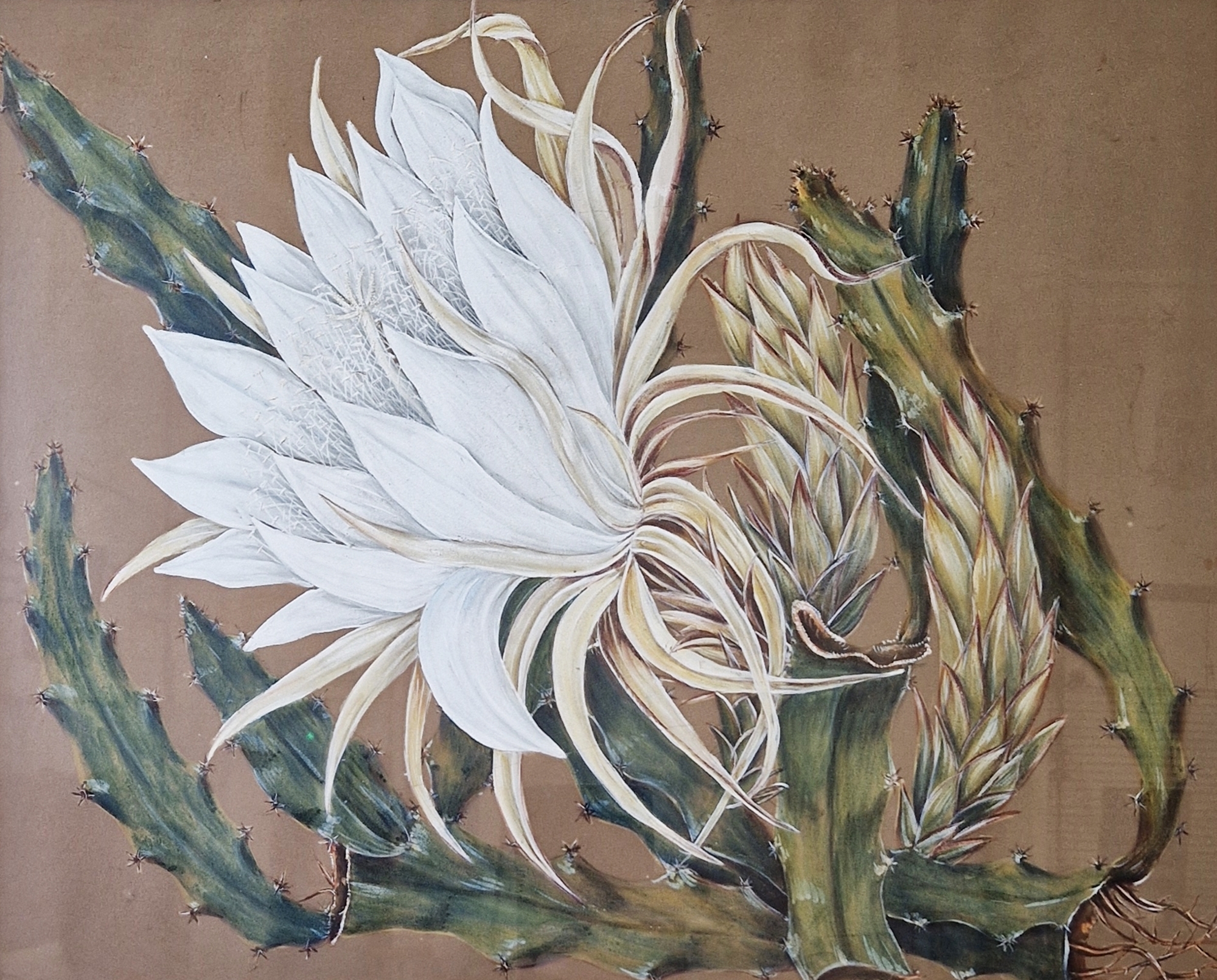 20th century school Watercolour and gouache Two floral studies, one of a cactus flower the other - Image 2 of 2