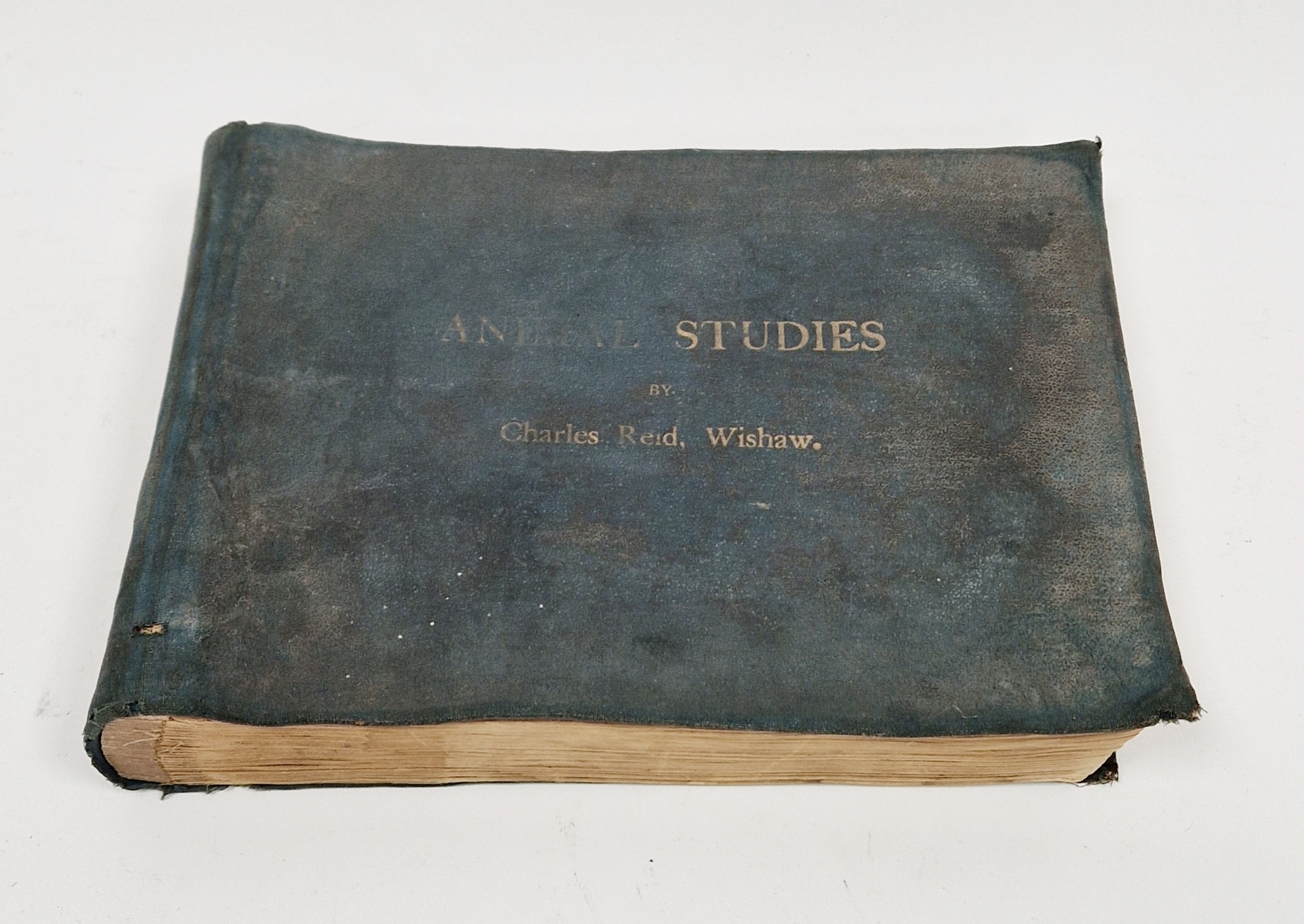 Animal Studies by Charles Reid (1837-1929), Wishaw, mounted with images of cattle, horses, birds,