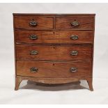 Victorian mahogany bowfronted chest of drawers having two short over three long drawers, each with