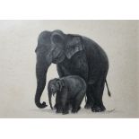 Thushara (Sri Lanka) Watercolour Set of four studies of elephants, signed lower right, framed and