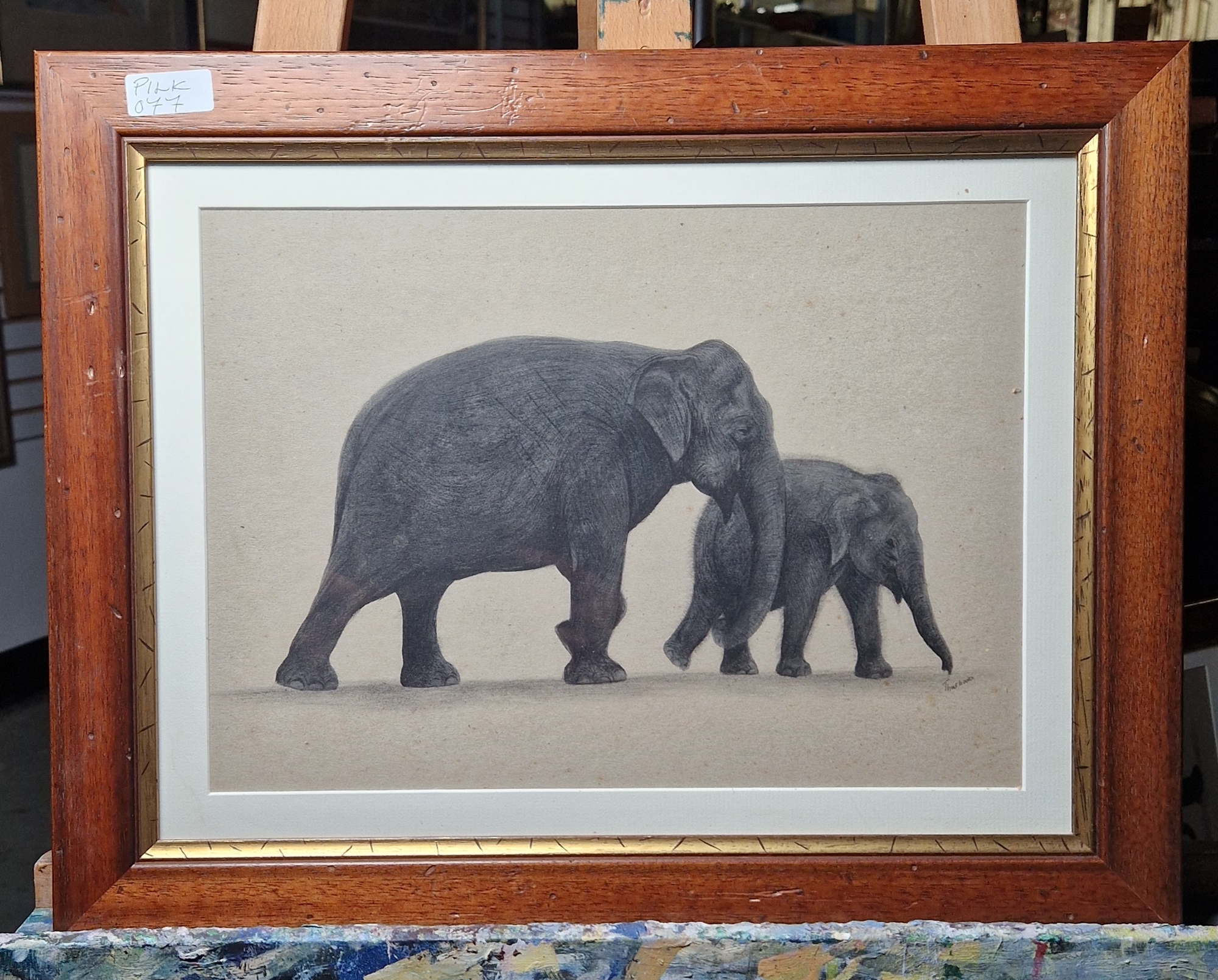 Thushara (Sri Lanka) Watercolour Set of four studies of elephants, signed lower right, framed and - Image 5 of 7