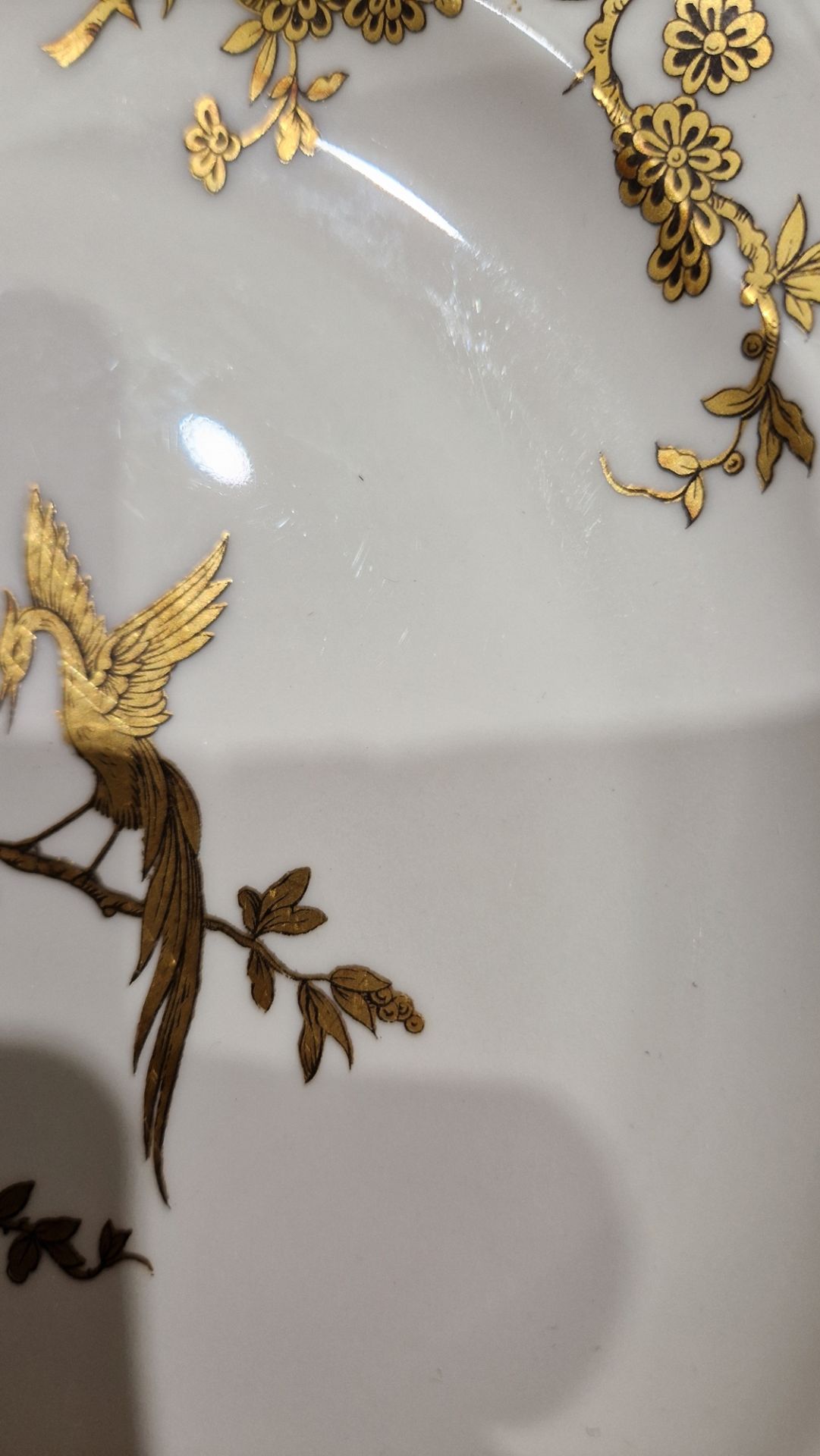 Extensive Limoges Bernardaud (B&C) porcelain 'Elizabeth' Golden Phoenix pattern part dinner and - Image 13 of 13