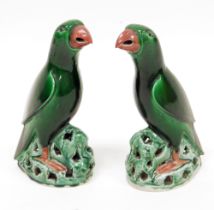 Pair of Chinese porcelain Kang Xi style green glazed models of parrots, each naturalistically