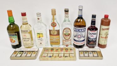 Collection of continental spirits and flavoured eau de vie including one litre Ricard Pastis,