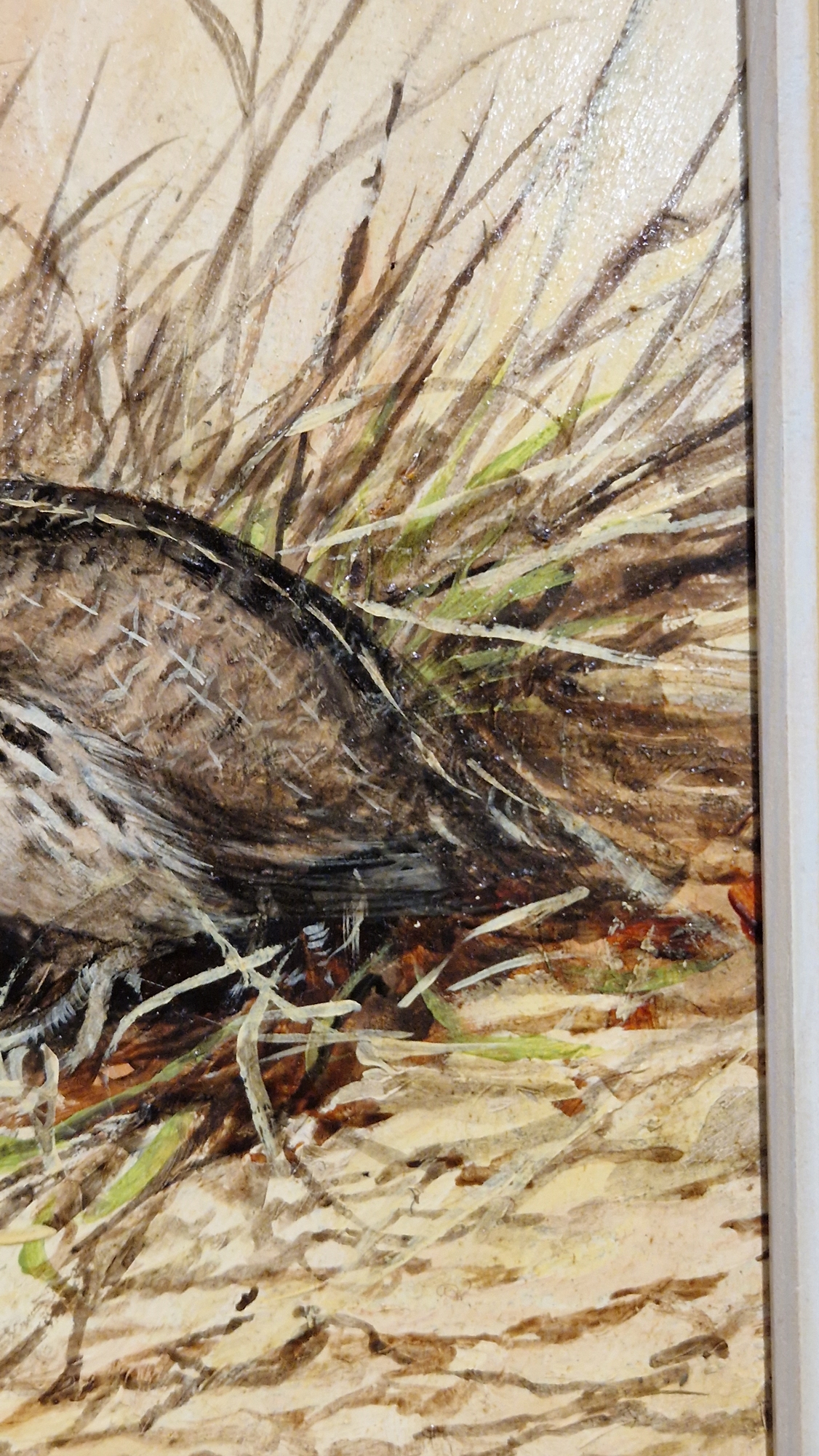 Ken Turner (1926) Oil on board Two quail amongst grasses, signed lower left, 14cm x 17.5cm - Bild 19 aus 28