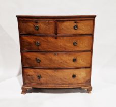 Early 19th century mahogany bowfronted chest of drawers with two short drawers above three long