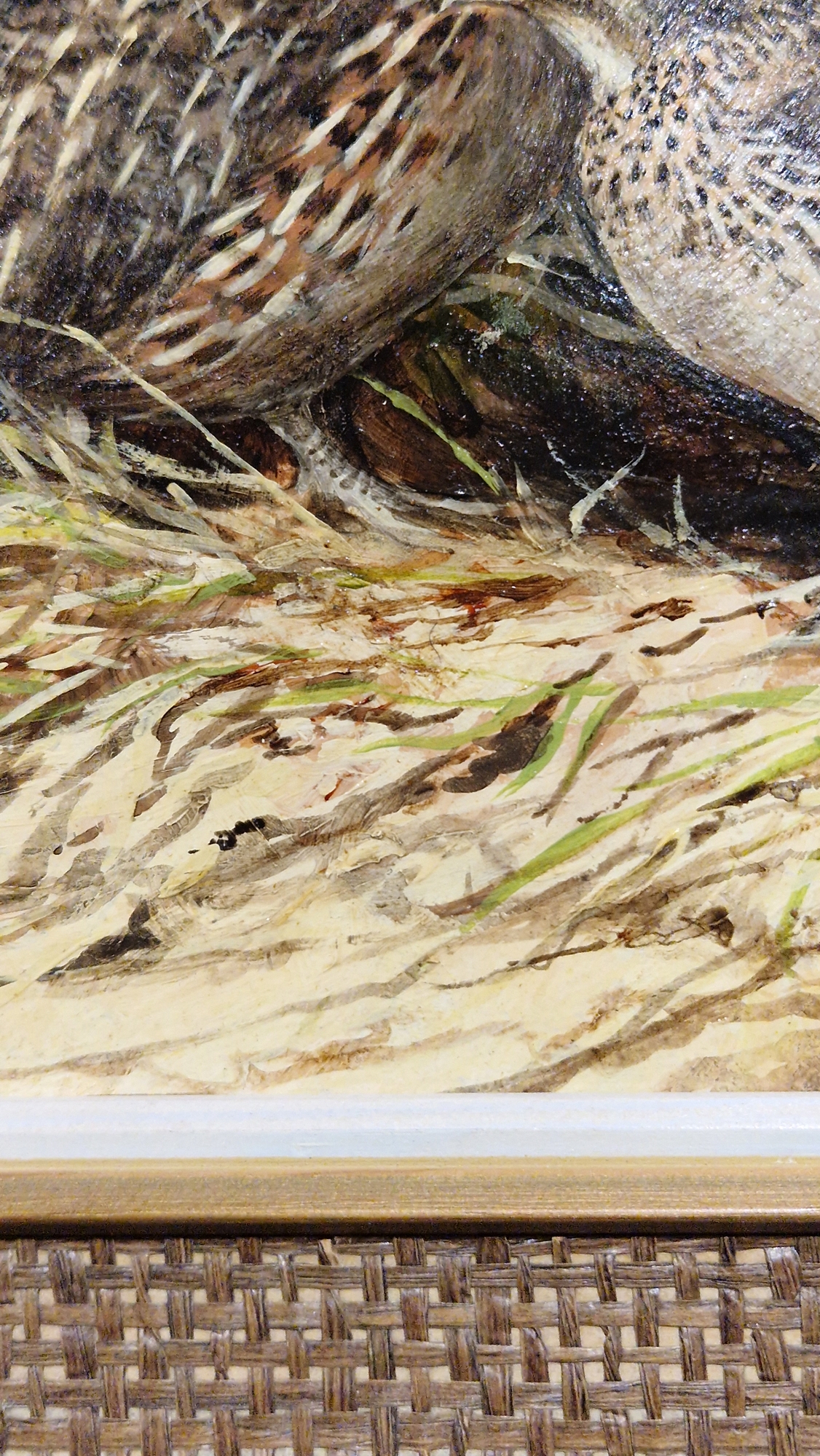 Ken Turner (1926) Oil on board Two quail amongst grasses, signed lower left, 14cm x 17.5cm - Bild 27 aus 28