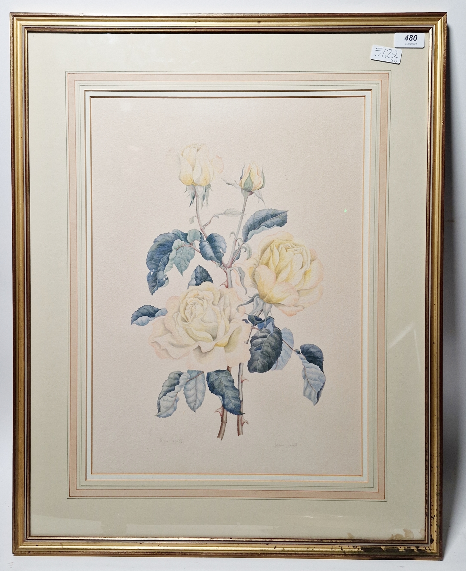 19th century school Watercolour and gouache Study of a Tiger Lily, unsigned, framed and glazed, - Image 2 of 9